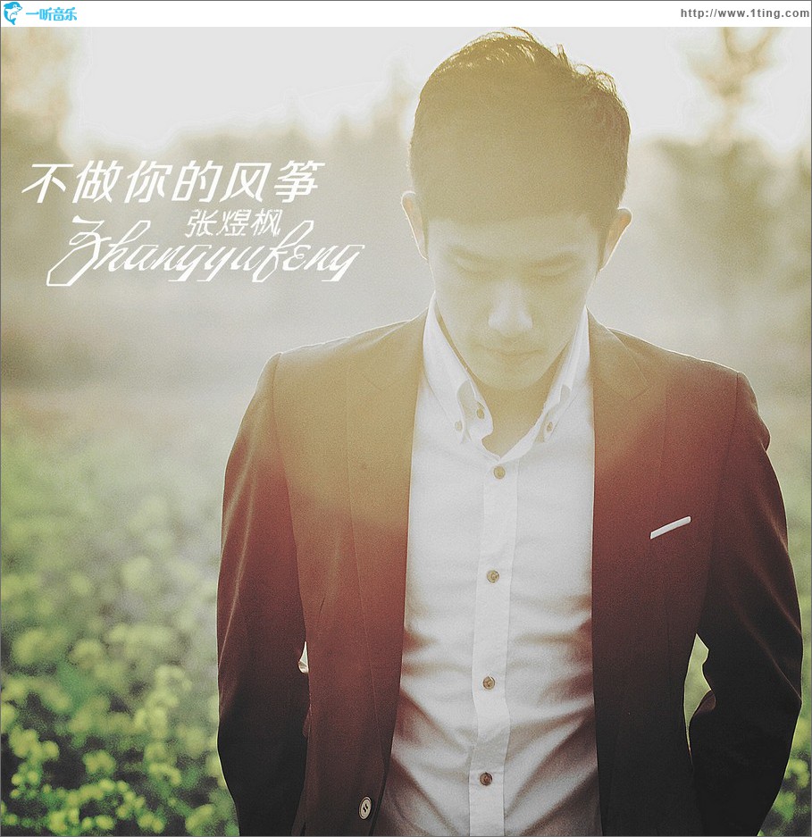 不做你的风筝 (EP)