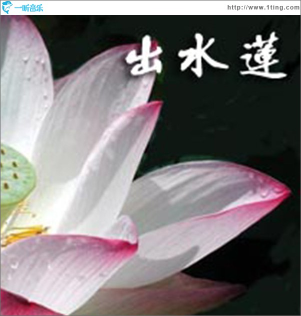 出水莲