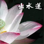出水莲