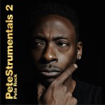 PeteStrumentals 2详情