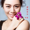 梦起东方 (单曲)