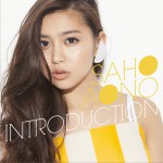 INTRODUCTION详情