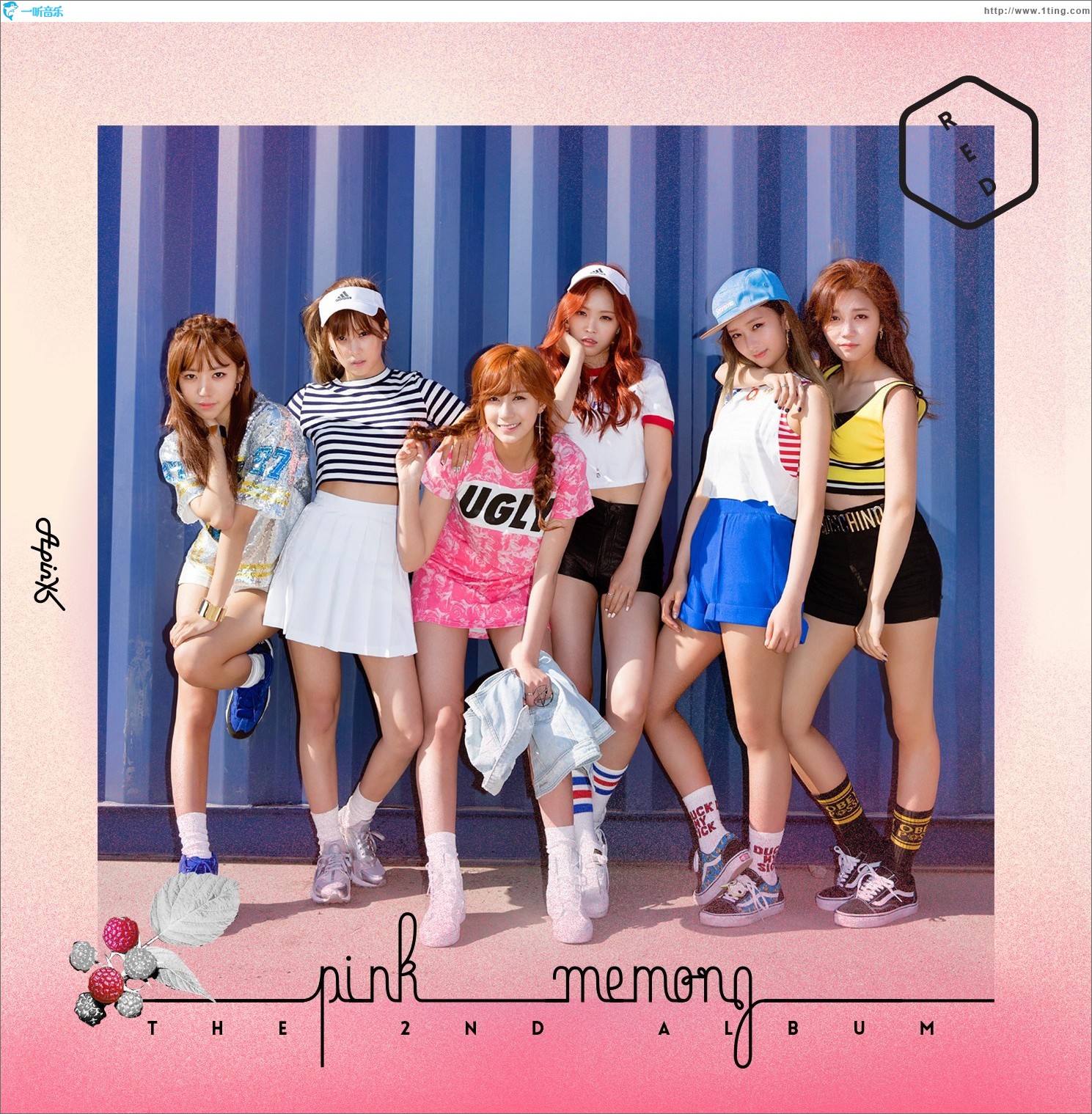 Pink MEMORY
