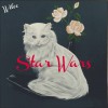 Wilco Taste The Ceiling 试听