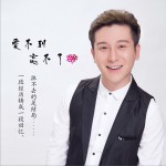 爱不到 忘不了 (单曲)详情