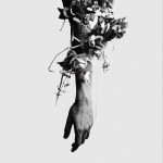 The Flowers Of Romance详情