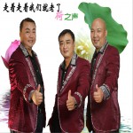 走着走着我们就老了 (EP)详情