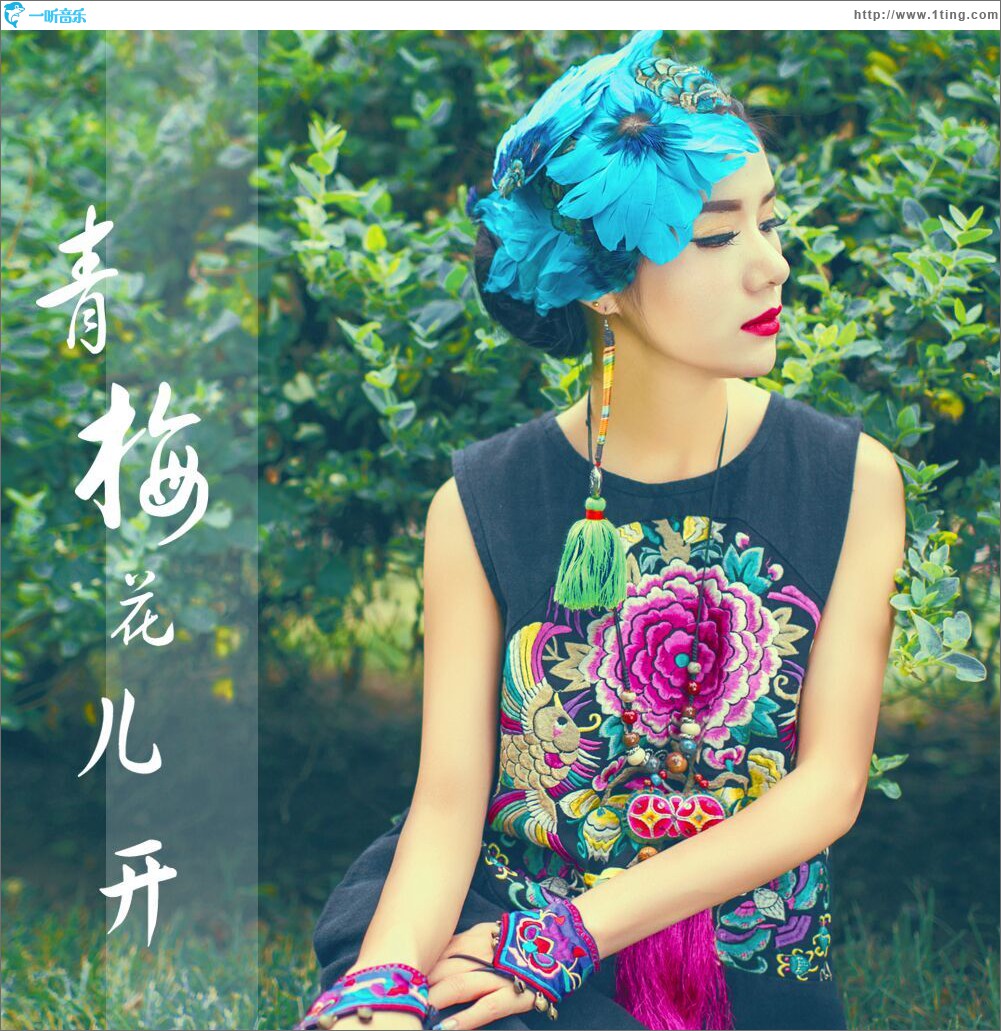 青梅花儿开 (单曲)