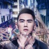 大隶式