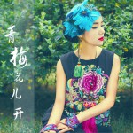 青梅花儿开 (单曲)详情