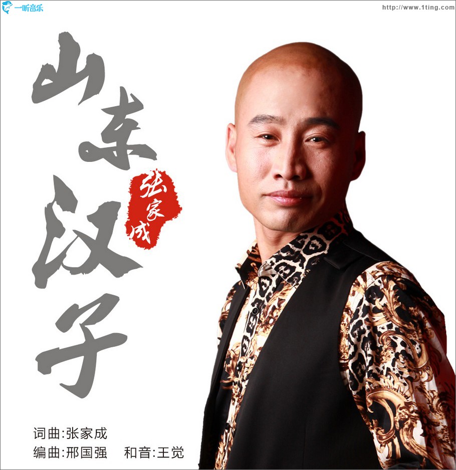 山东汉子 (单曲)