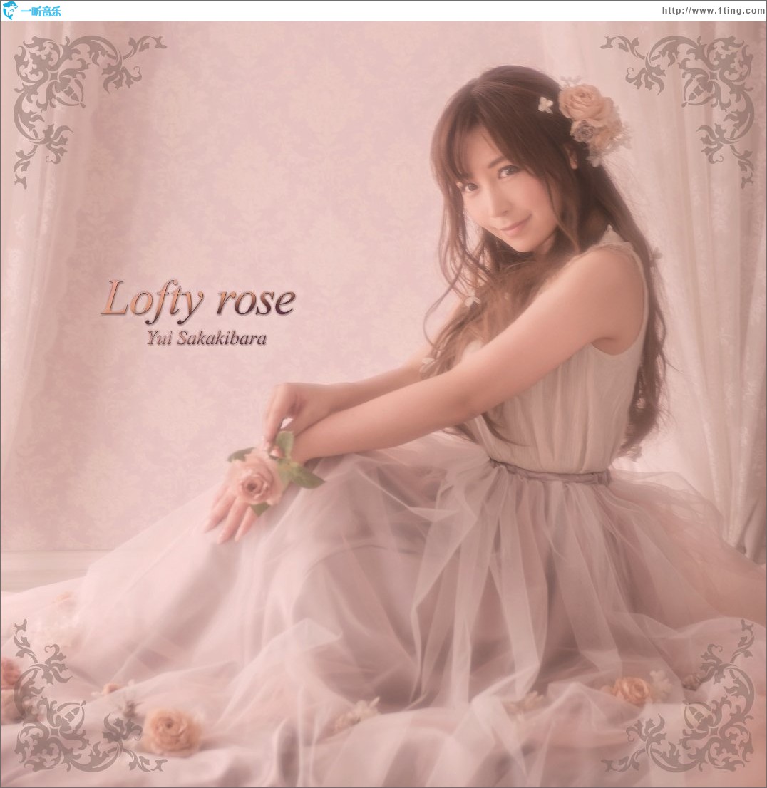 Lofty Rose