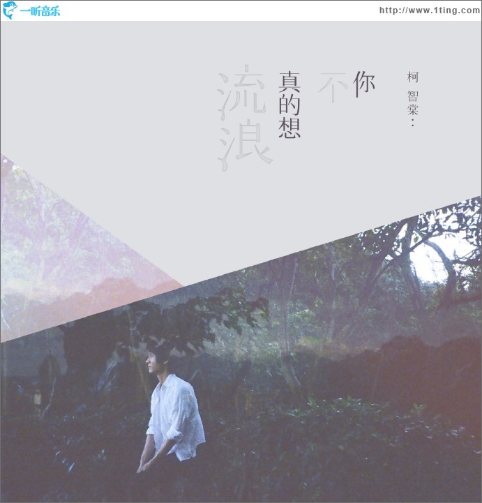 你不真的想流浪