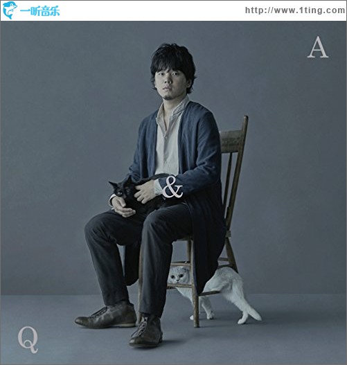 Q & A