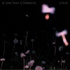 Lycia The Fall Back 试听