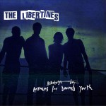 Anthems For Doomed Youth详情
