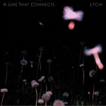 A Line That Connects详情