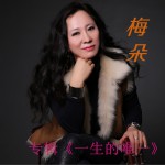 一生的唯一试听