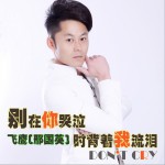 别在你哭泣时背着我流泪 (单曲)详情