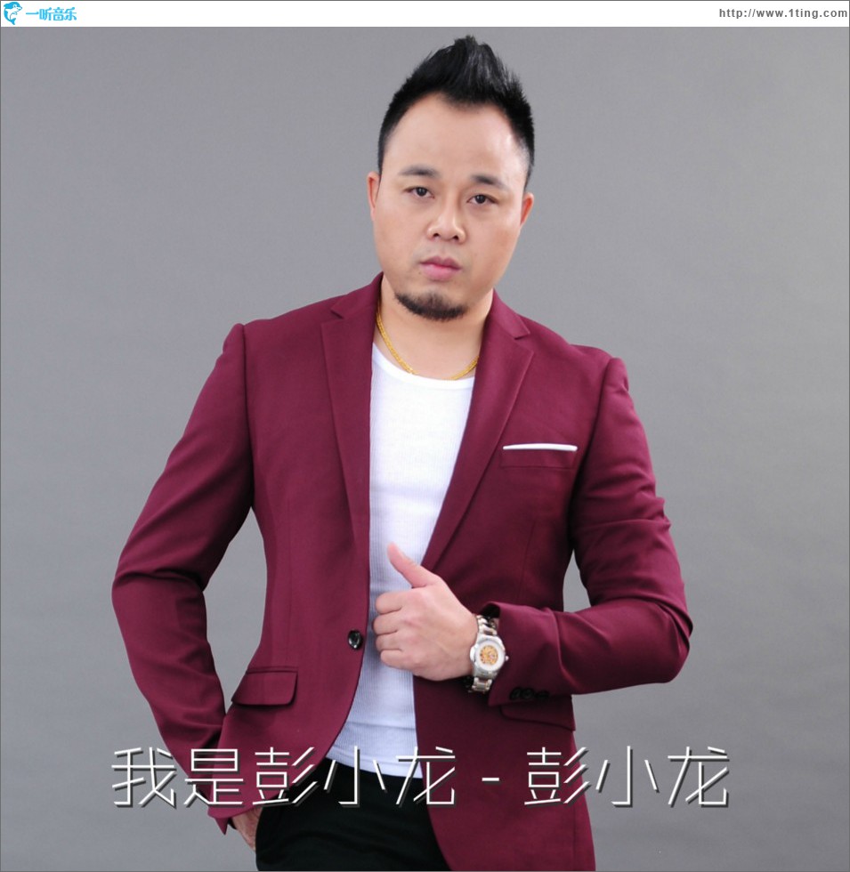 我是彭小龙 (单曲)