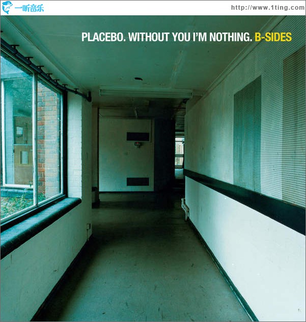 Without You I'm Nothing: B-Sides