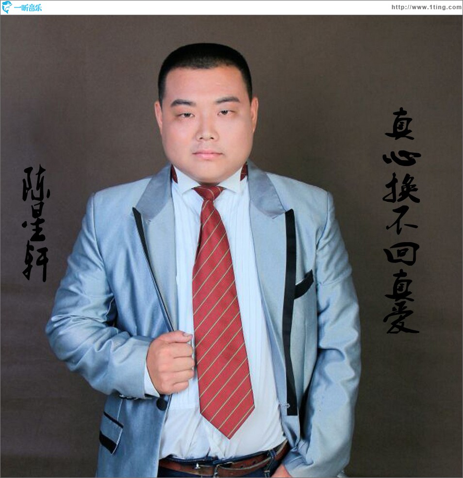 真心换不回真爱 (单曲)