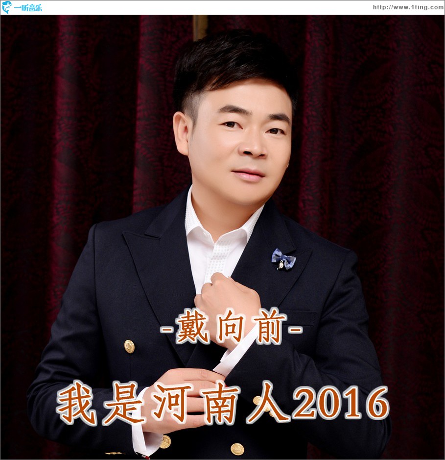 我是河南人2016 (单曲)