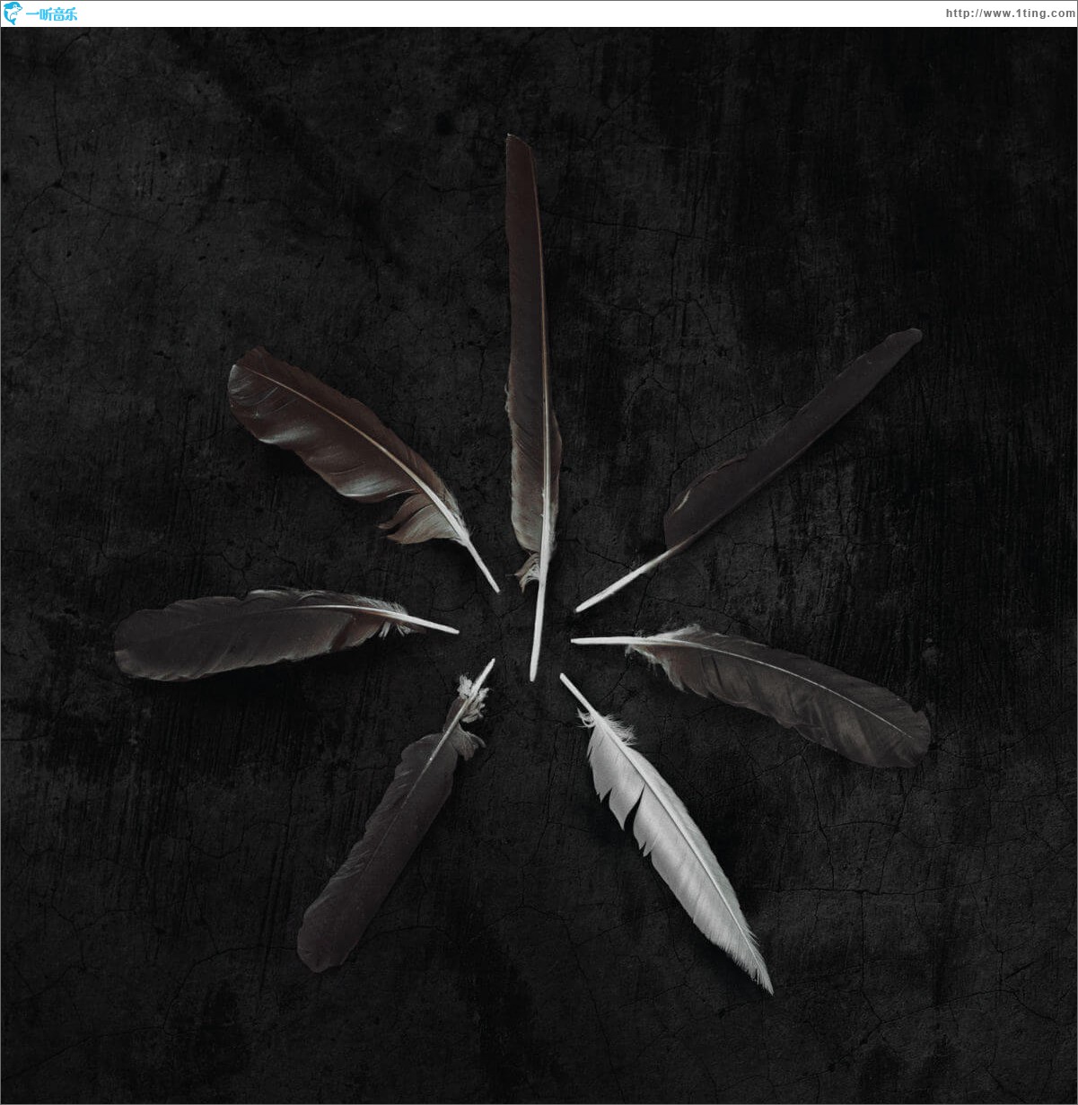 Dust & Disquiet