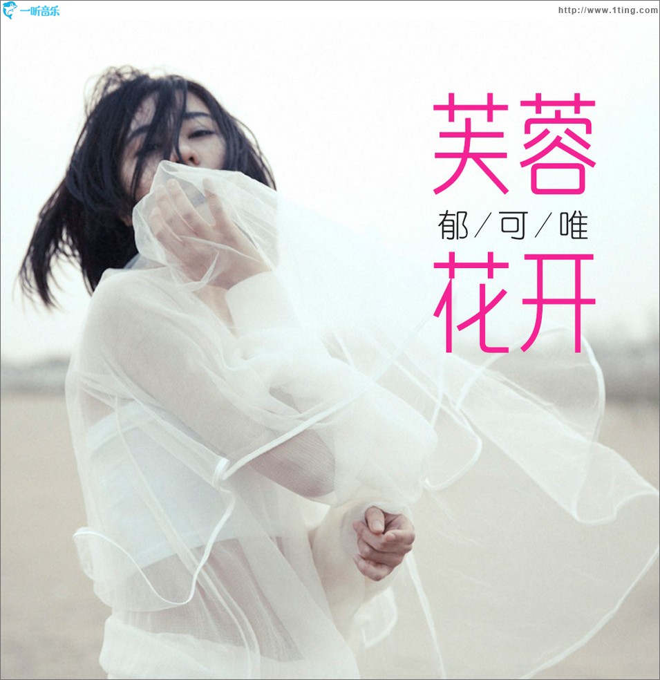 芙蓉花开 (单曲)