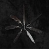 Caspian Separation No.2 试听