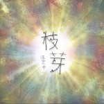 枝芽详情