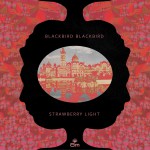 Strawberry Light详情