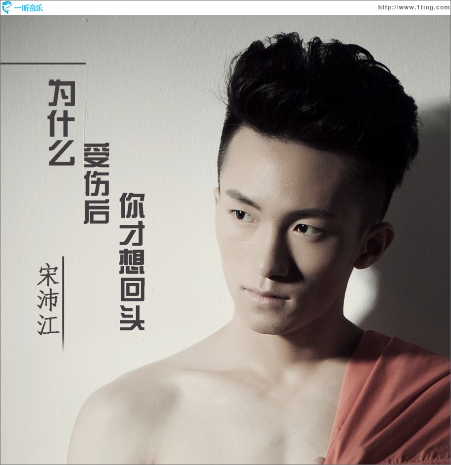 为什么受伤后你才想回头 (单曲)