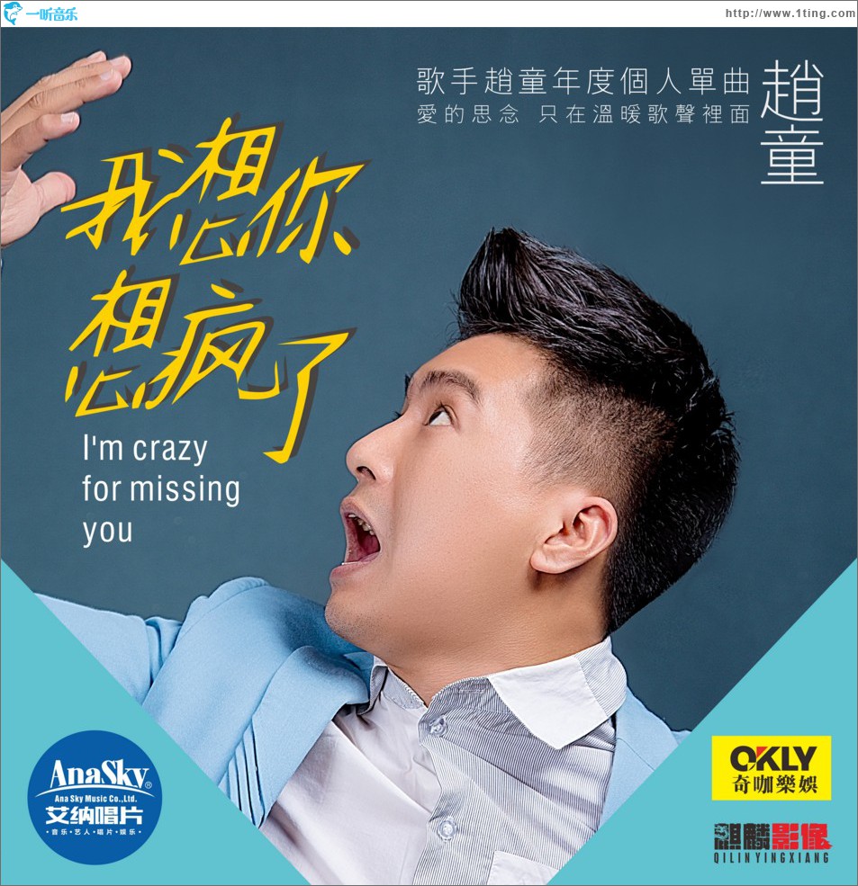 我想你想疯了 (单曲)