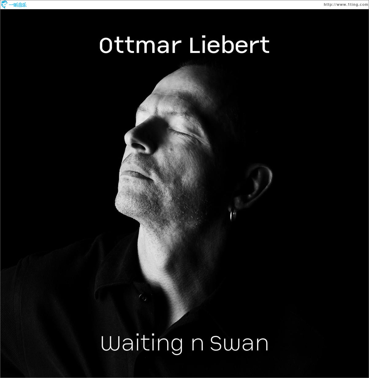 Waiting n Swan