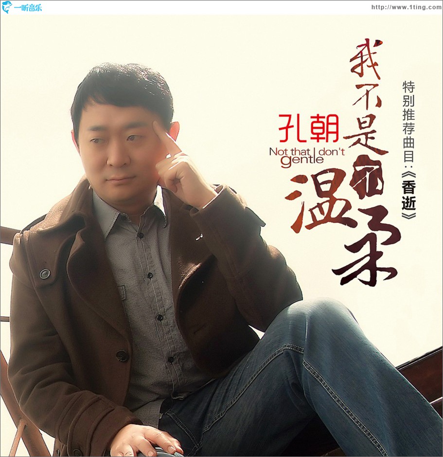 我不是不温柔 (单曲)