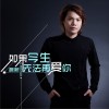 如果今生无法再爱你 (单曲)