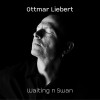 Ottmar Liebert Is This Love (Li Mo Mix) 试听