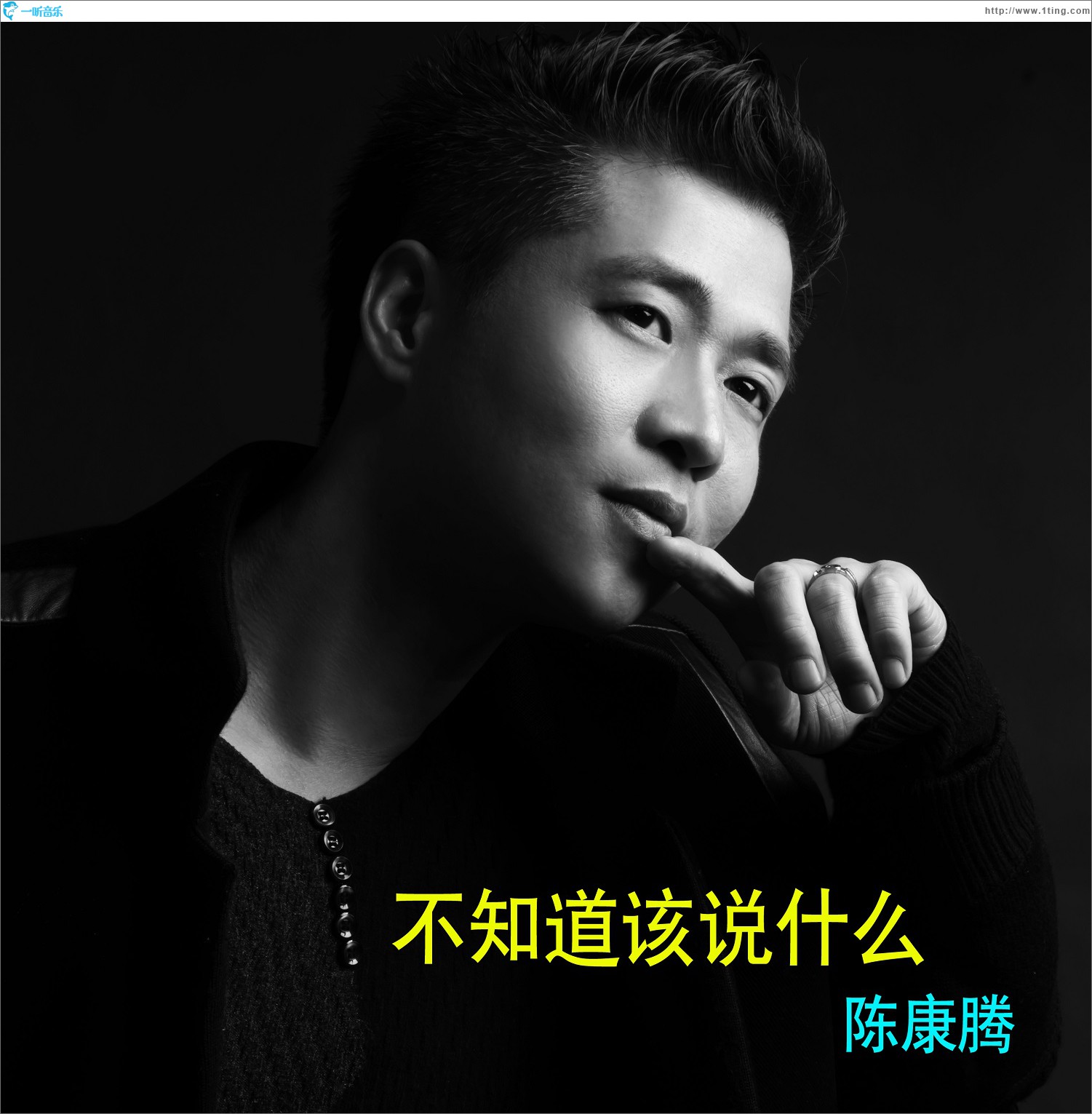不知道该说什么 (单曲)