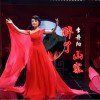 李丹阳 醉了山寨 试听