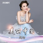 美丽中国 (单曲)详情