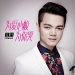 为爱心酸为你哭 (单曲)详情