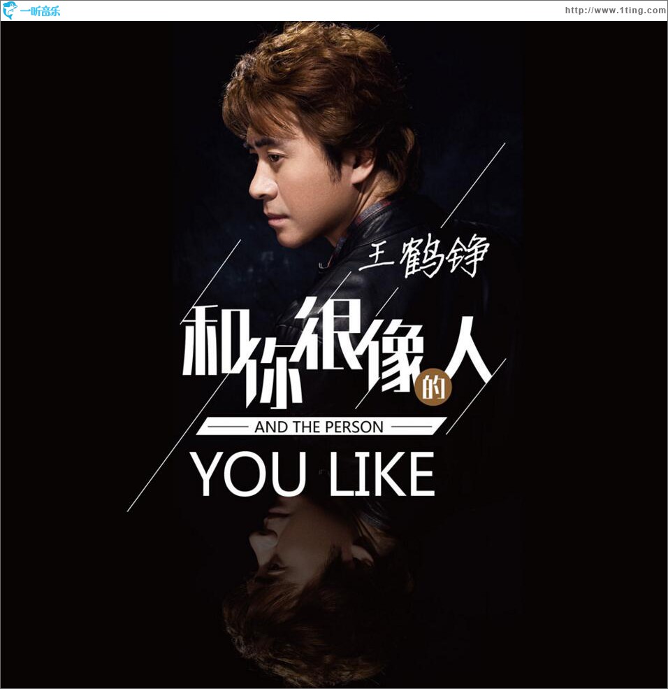 和你很像的人 (单曲)