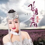 飞鸟的梦想 (单曲)