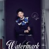 Watermark