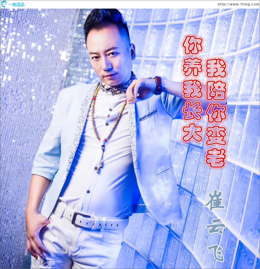 你养我长大我陪你变老 (单曲)