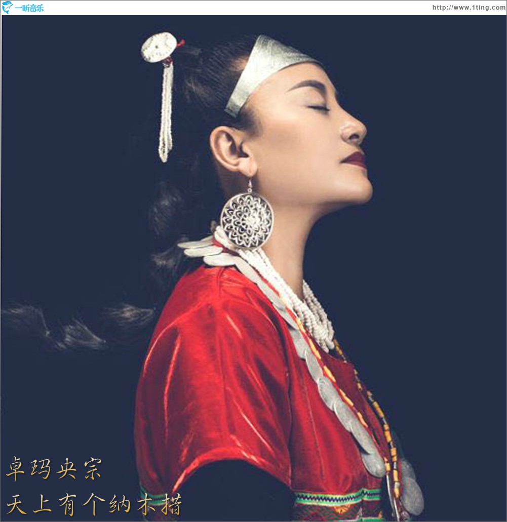 天上有个纳木措 (单曲)