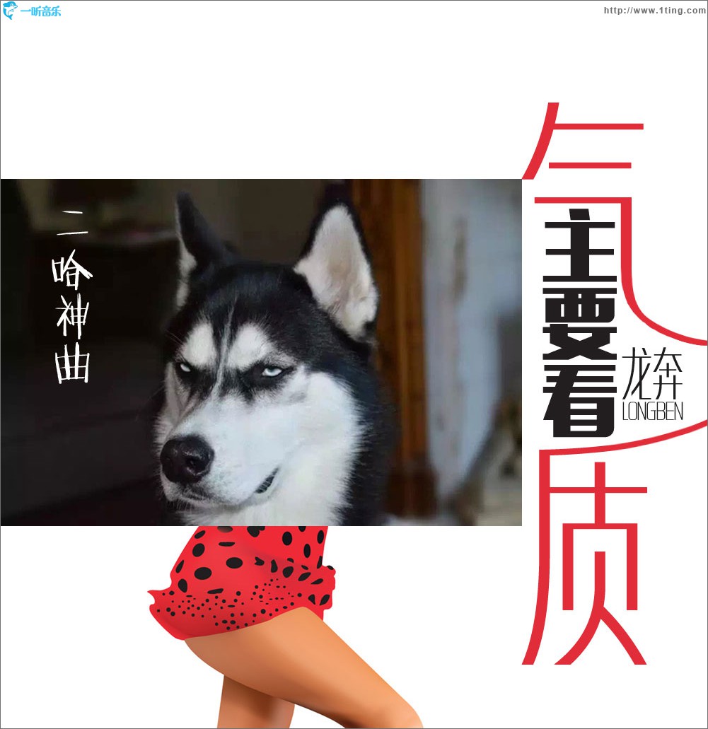 主要看气质 (单曲)