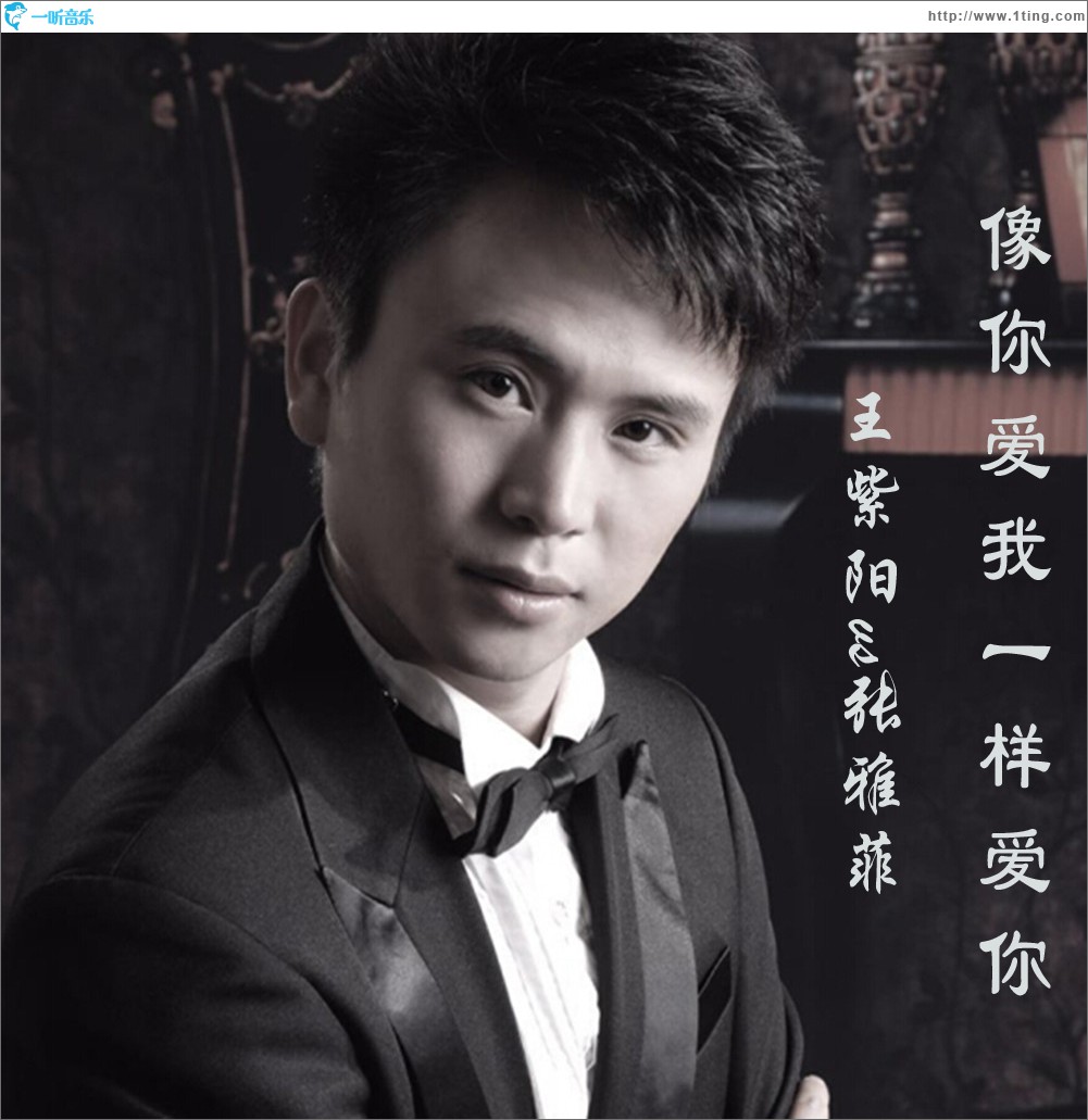 像你爱我一样爱你 (单曲)