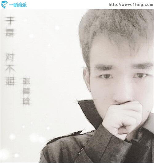 于是 对不起 (单曲)